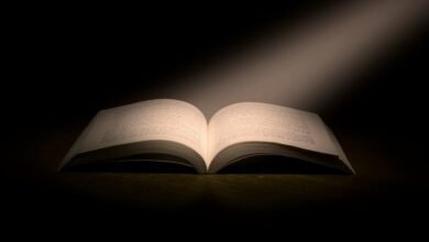 exploring erotic genre nuances