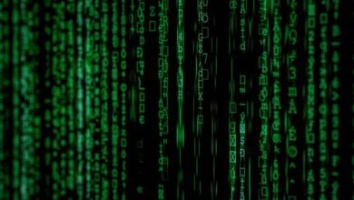 owner background investigation requested