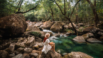 The Perfect One-Day Escape From Cairns