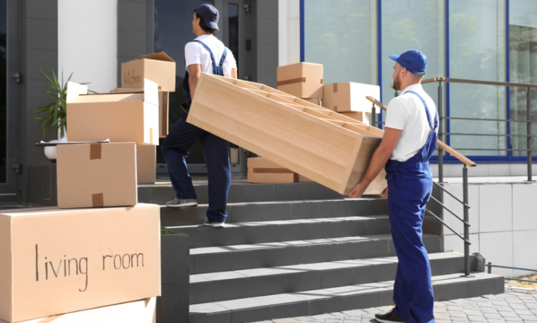 Stress-Free Relocations: Your Complete Guide to Finding a Trusted Removalist in Townsville