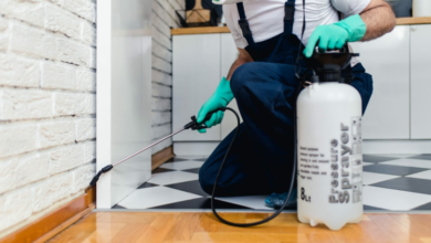 How to Choose the Best Pest Control in Toowoomba for Your Home or Business
