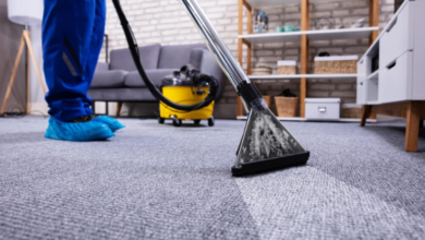 How to Keep Your Carpets Fresh in Oceanic Climate