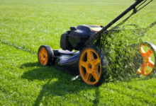 Choosing Lismore Mowers: A Local Buyer’s And Service Guide