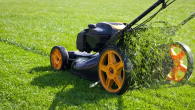 Choosing Lismore Mowers: A Local Buyer’s And Service Guide