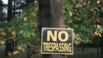 call privacy taskforce numbers